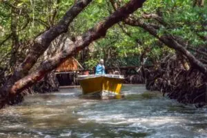 DAY 06  - Portblair- Baratang Island- Portblair- 120 KM
