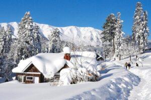DAY 02  - Srinagar – Gulmarg – Srinagar.