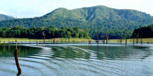 DAY 07 - Thekkady
