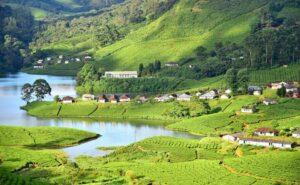 DAY 02 - Munnar