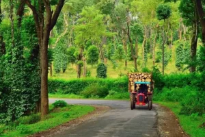 DAY 04 - Wayanad – Coorg