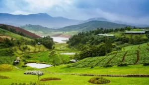 DAY 05 - Mysore –Ooty