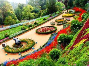 DAY 06 - Ooty
