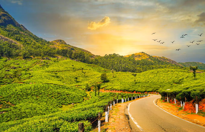Tour Itinerary (Kerala Prime)