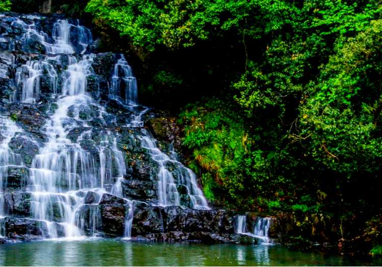 Meghalaya + Assam - 5 Nights and 6 Days