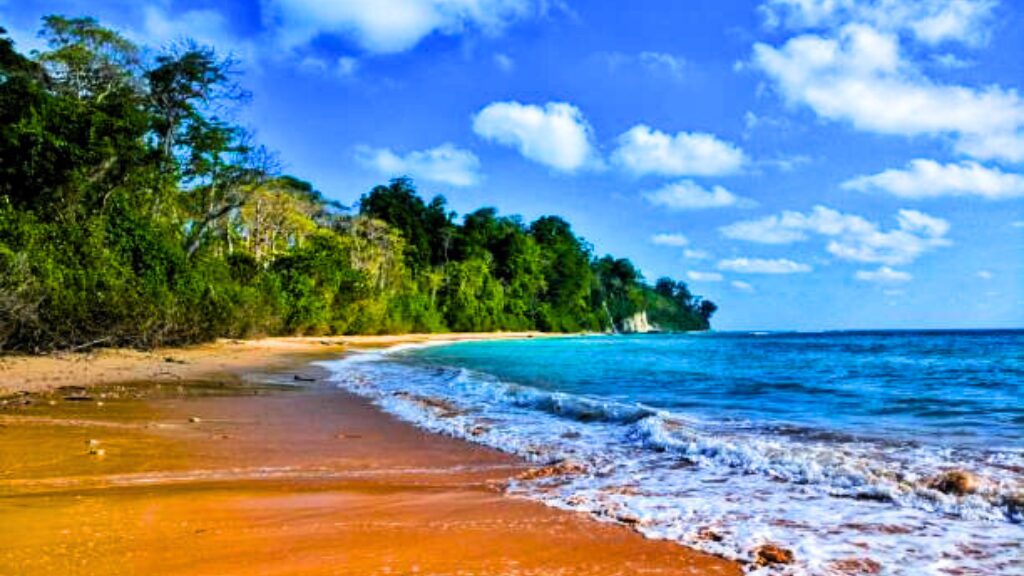 Exotic Andaman