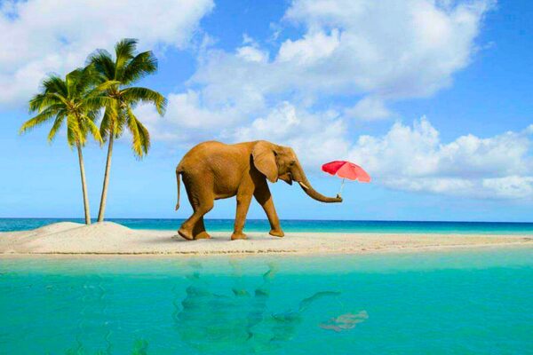 Andaman
