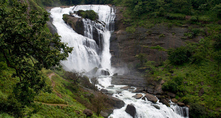Winter Escape: 6 Nights / 7 Days in South India