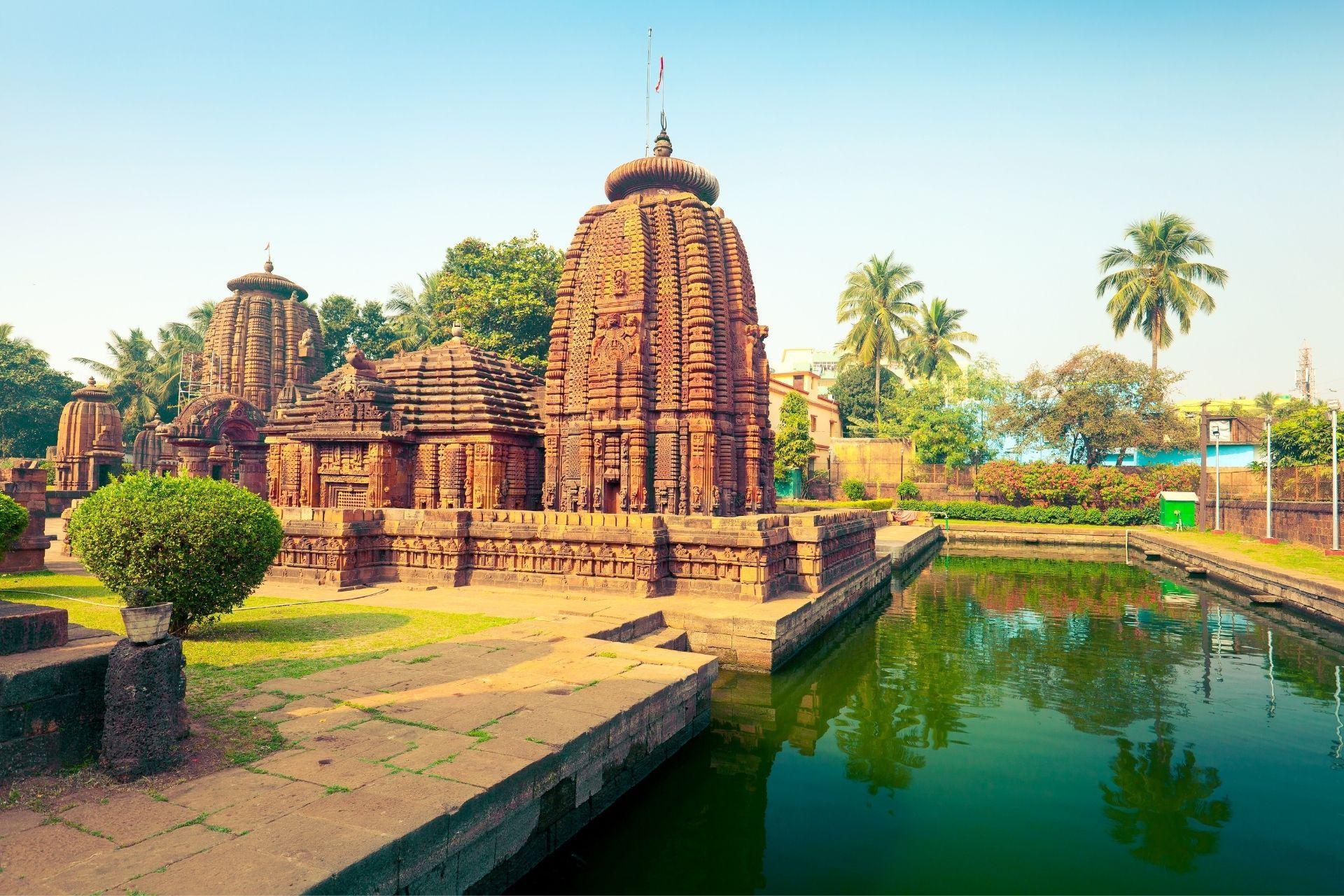 Wild Treasure – Bhitarkanika (2 Nights / 3 Days)