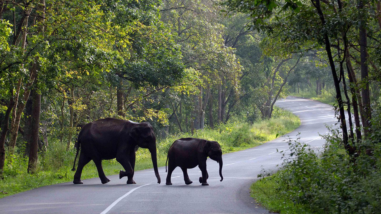 Splendors of South – 7 Nights / 8 Days