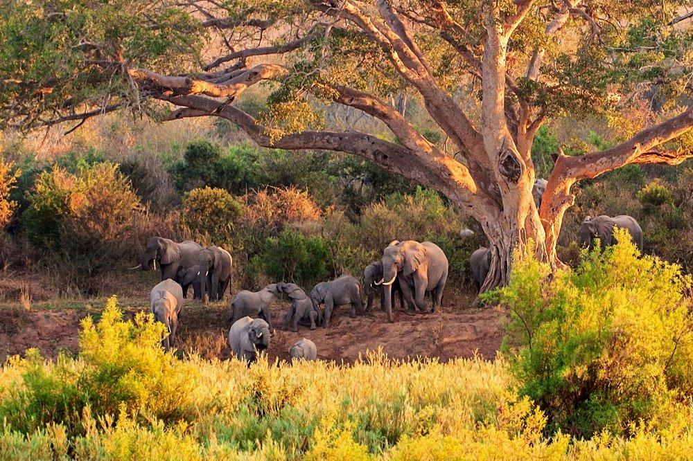 Spectacular South Africa – 10 Days